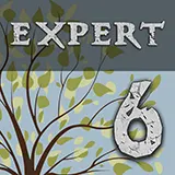 enigmatica 6 expert- e6e