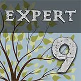 enigmatica 9: expert - e9e